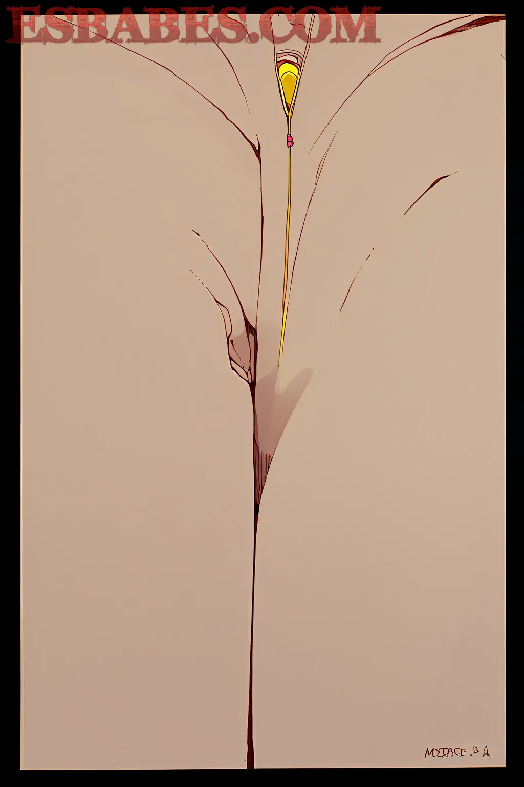 Amouranth-Naitlyn-Siragusa_6