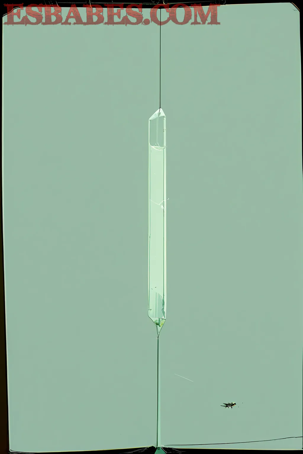 Christy-Marks-Tetas_8