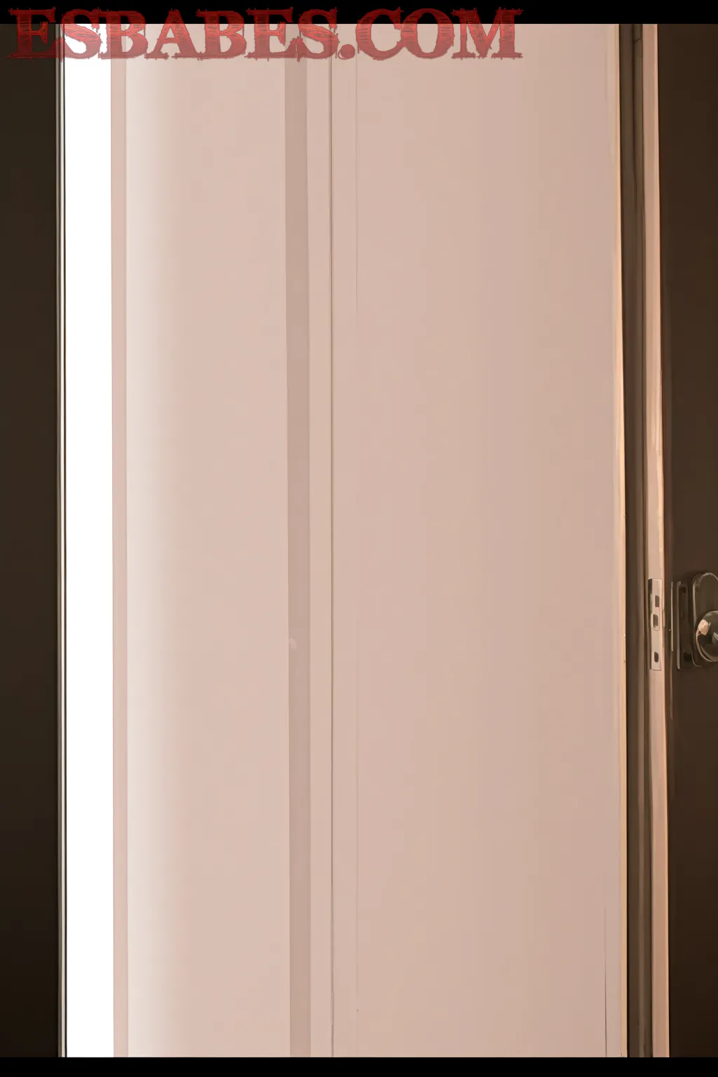 Estrellas-Del-Porno-Americano-Desnudas-Y-Sexy_9