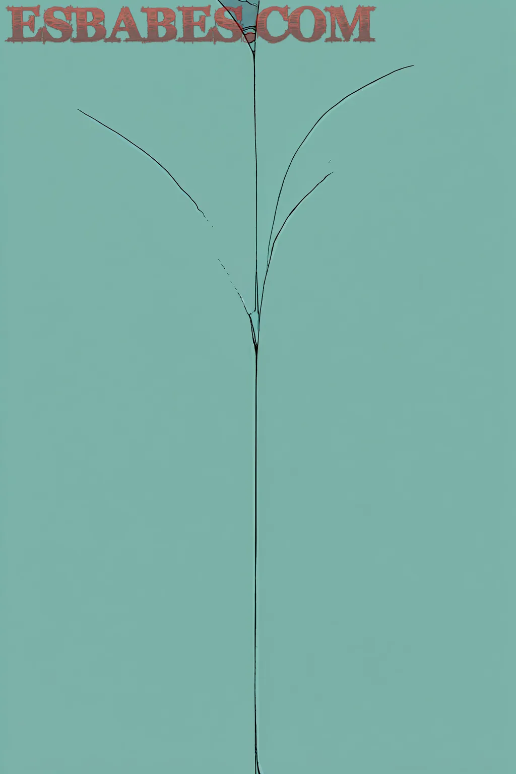 Hot-Nude-Horny-Amater_1