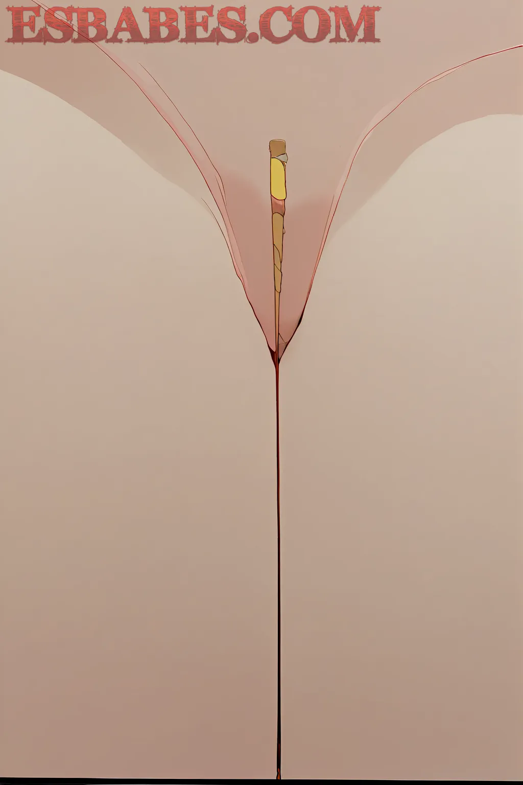 Monika-La-Novia-Pendeja_2