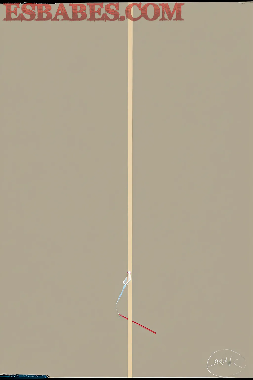 Pornstar-Nude-Pussy_7